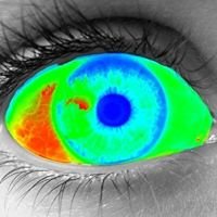 Realm of Insanity chat bot