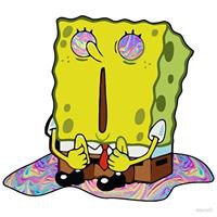 TrippyBot chat bot
