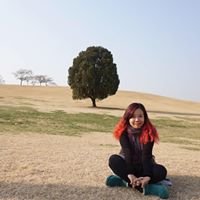 Hoang Kim Phuong chat bot