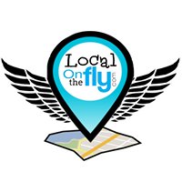 Local On the Fly chat bot