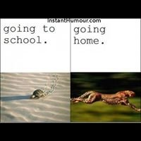 Totally Relatable "I can relate" chat bot