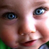 Cutest Baby Contest Page chat bot