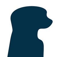 MeARKET chat bot