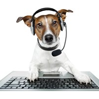 WooF - all about dogs chat bot