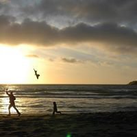fieldnotesfromfatherhood.com chat bot