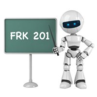 FRK 201 chat bot