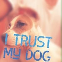 Evolution Dogs chat bot
