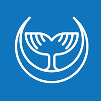 Banyera chat bot