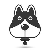 Fetch chat bot
