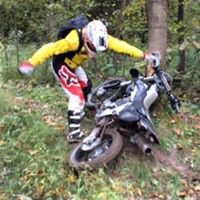 Chicken Enduro chat bot