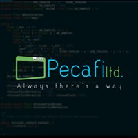 Pecafi ltd. chat bot