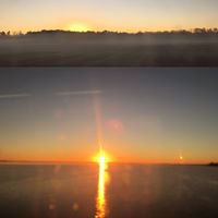 Samplebotapptemp chat bot