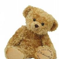 Teddy Bear chat bot