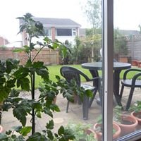 Little Garden Club chat bot