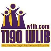 WLIB - 1190 AM chat bot