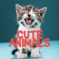 Cute Animals chat bot