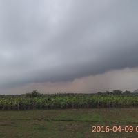 Indianadvocates chat bot