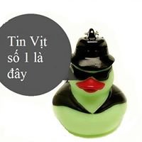 Tin Vịt chat bot
