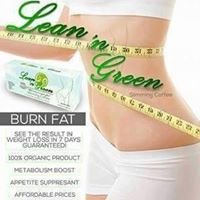 Lean n' Green chat bot