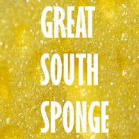 Great South Sponge chat bot