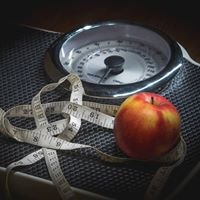 Low Carb Lifestyle chat bot