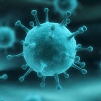 The Chronicles of Creation: Virus Theory chat bot