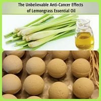 Zel's Detox and Home Beauty chat bot