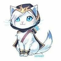 Little Kitty chat bot