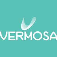 Vermosa chat bot