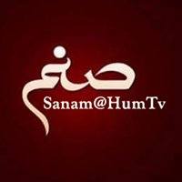 Sanam Hum TV Drama chat bot