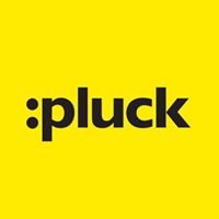 Pluck chat bot
