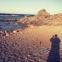 Elhadi - Photographie chat bot