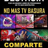 Proyecto  Construir  no  Destruir chat bot