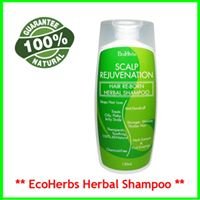 Hair Regrowth Herbal Shampoo Treatments chat bot