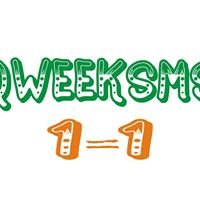 Qweek Solutions chat bot
