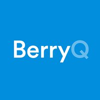 BerryQ chat bot