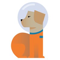 Spacedog.xyz chat bot