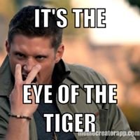 Supernatural Lovers chat bot