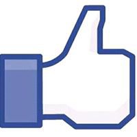 Active Likers A.L chat bot