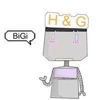 H&G Chatbot chat bot