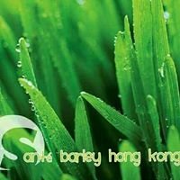Sante Barley Hong Kong chat bot