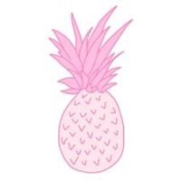 Pink pineapples chat bot