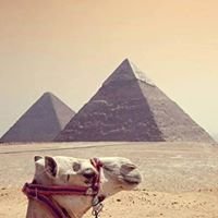 I Love Egypt chat bot
