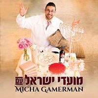 מיכה גמרמן  Micha Gamerman chat bot