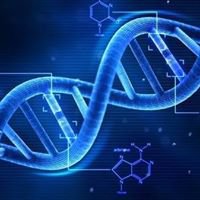 DNA Cryptography chat bot