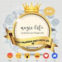 ∞ Magic life chat bot