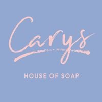 House of Soap chat bot