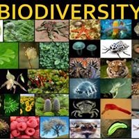 Unofficial: Biodiversity chat bot