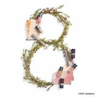 Dreadlock Dawnie's Jamberry Nails chat bot