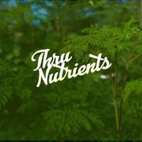 ThruNutrients chat bot